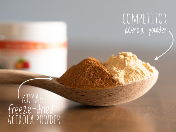KOYAH Organic Acerola Powder