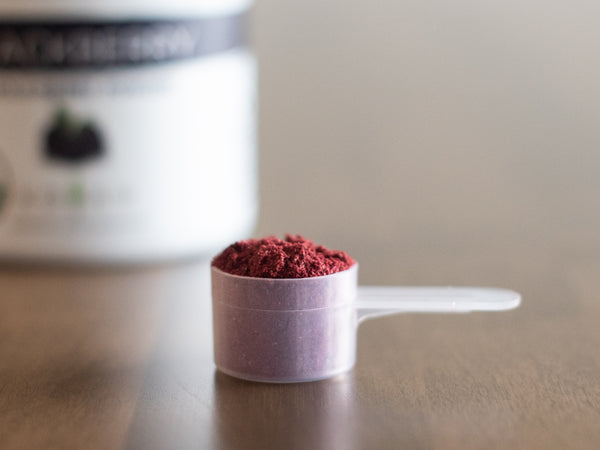 KOYAH Organic Blackberry Powder