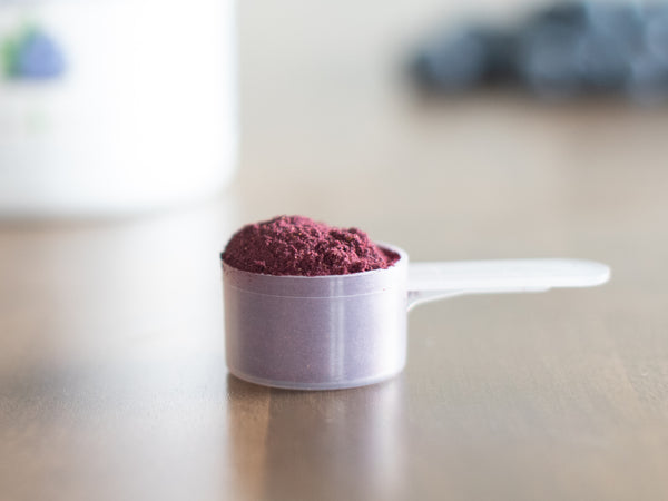 KOYAH Organic Wild Blueberry Powder